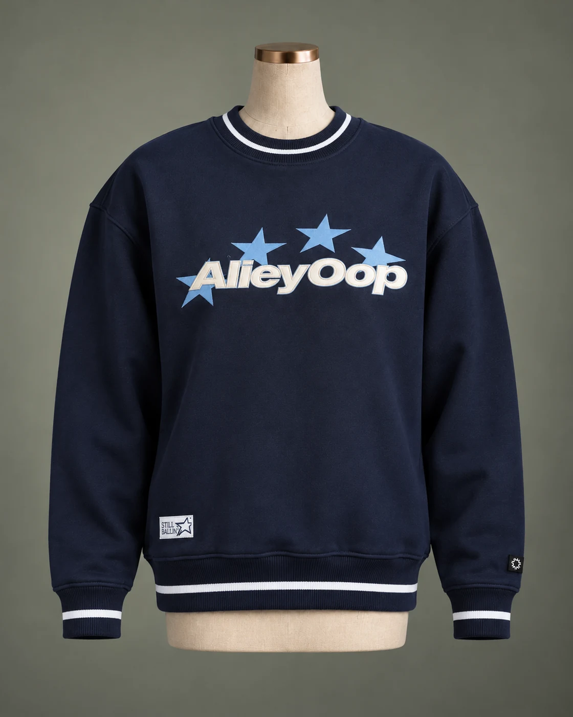 AlleyOop sweater, front view